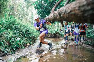 BIB: 
                            <button type="button" onclick="openModal(25373978)" class="btn btn-primary btn-sm float-right btn-popup" data-toggle="modal" data-target=".modal-high-quality">
                        <i class="fas fa-shopping-cart"></i> Add to Cart
                    </button>
                                            <button type="button" onclick="isThisMe(25373978, true)" class="btn btn-success btn-sm float-right btn-popup btn-isme hidden" data-toggle="tooltip" data-placement="bottom" title="นี่คือรูปของคุณใช่ไหม คลิกที่นี่เพื่อเอาเข้าอัลบั้ม">
                        <i class="fas fa-plus"></i> Add to album
                    </button>
                    <button type="button" onclick="isThisMe(25373978, false)" class="btn btn-warning btn-sm float-right btn-popup btn-isnotme hidden">
                        <i class="fas fa-ban"></i> Remove from album
                    </button>